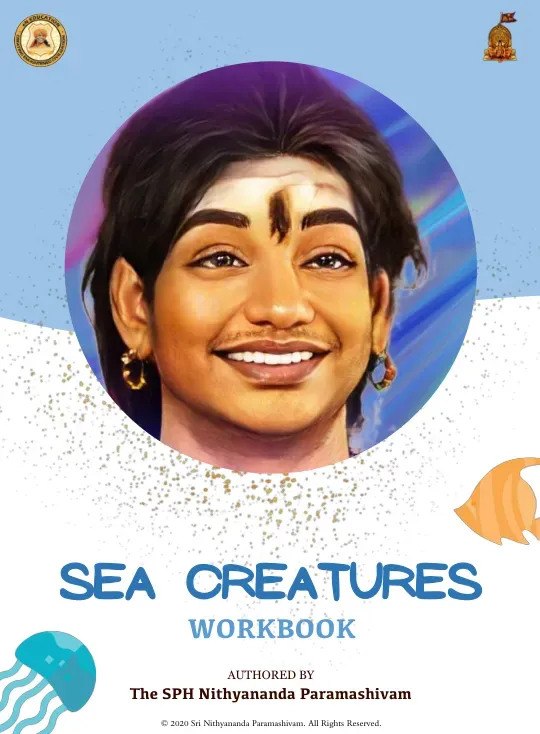 SEA CREATURES WORKBOOK
